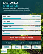 Live Aquarium Plant Set product image 7