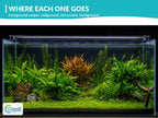 Live Aquarium Plant Set product image 8