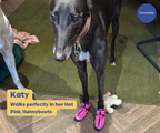 Greyhound and Whippet Dog Boots product image 43