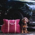 Dog Travel Pod product image 1
