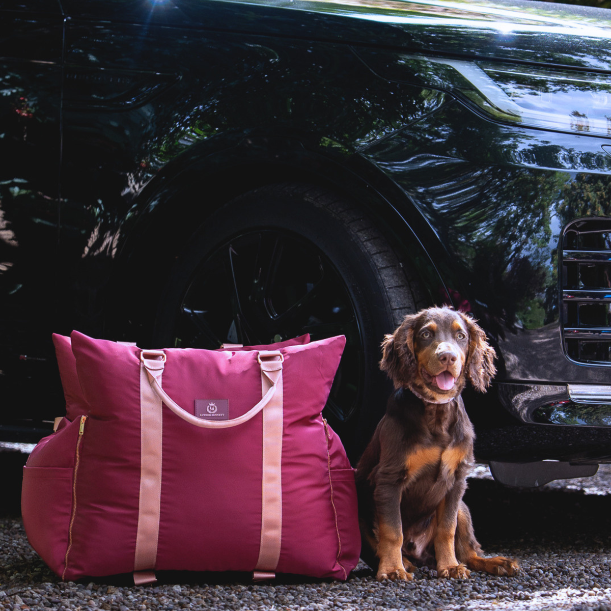 Dog Travel Pod product image 1