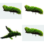 Live Moss Driftwood product image 1