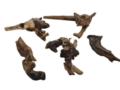 Live Moss Driftwood product image 14