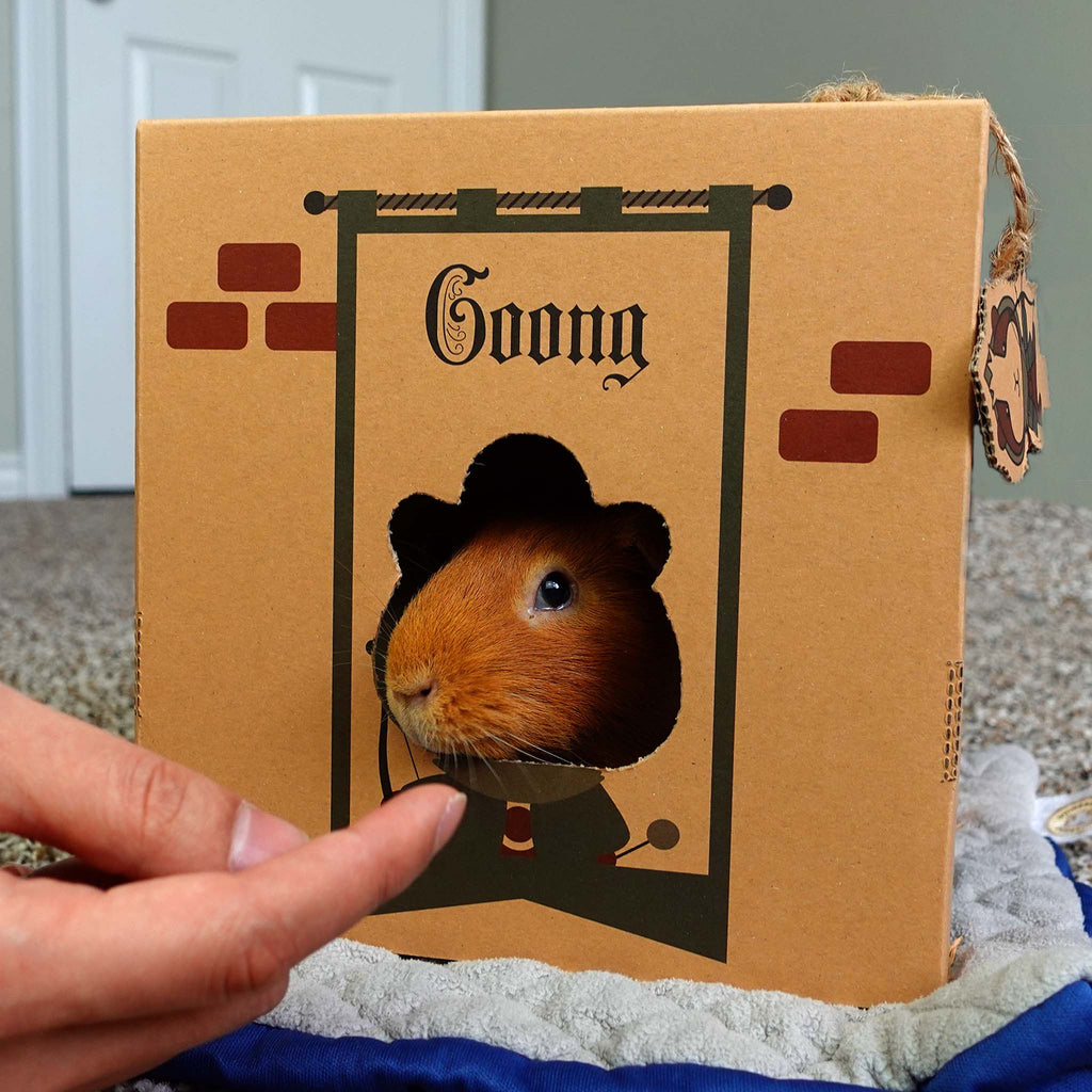 Guinea Pig Cardboard Hideout product image 5