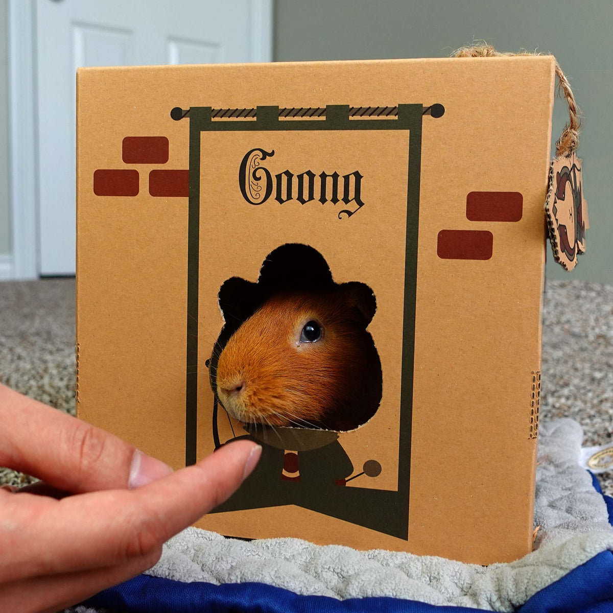 Guinea Pig Cardboard Hideout product image 5