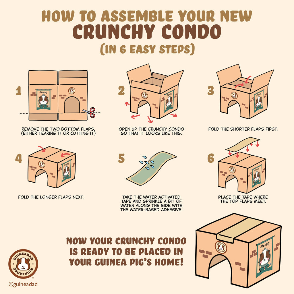 Guinea Pig Cardboard Hideout product image 6