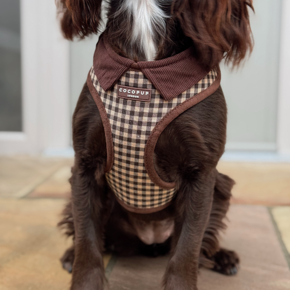 Dog Harness product image 2