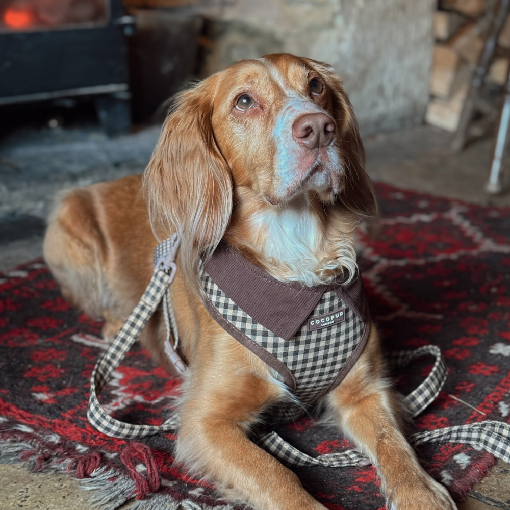 Dog Harness product image 5