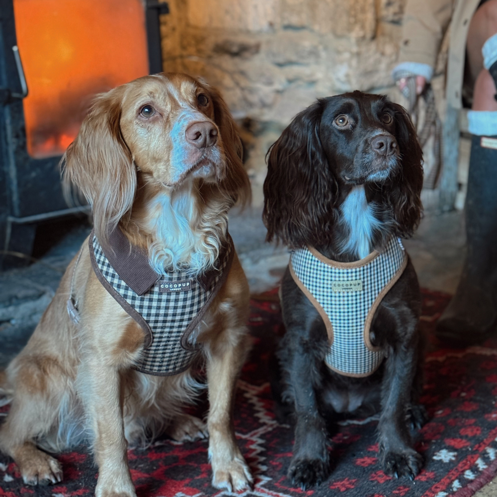Dog Harness product image 7