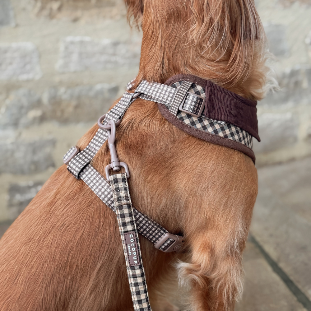 Dog Harness product image 8