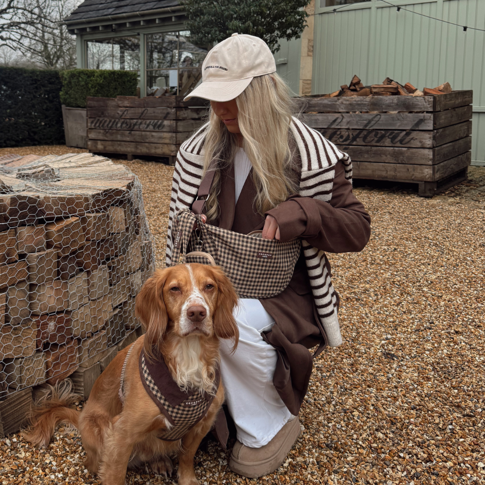 Dog Harness product image 9