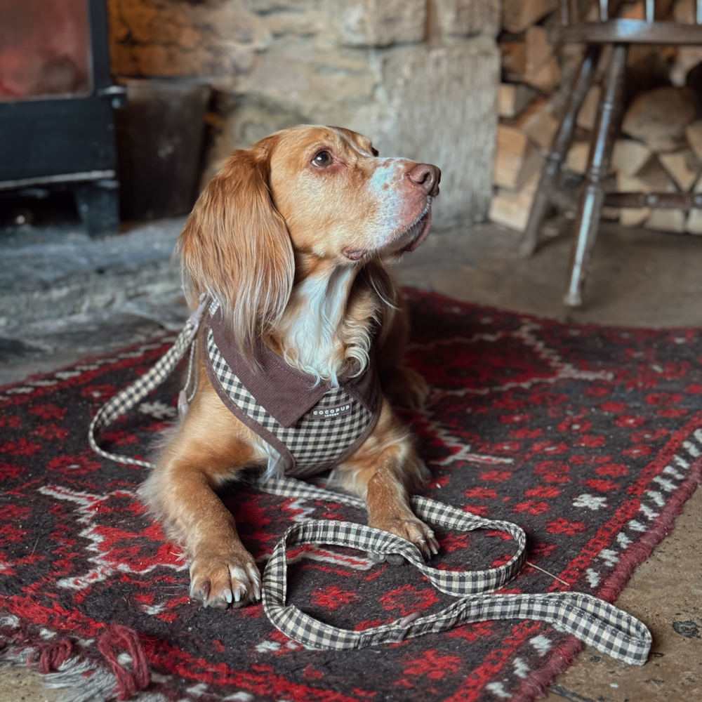 Dog Harness product image 10