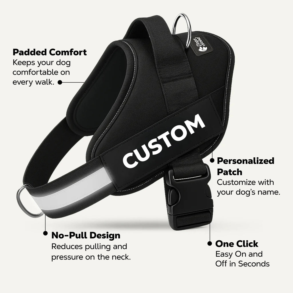 No-Pull Dog Harness product image 12