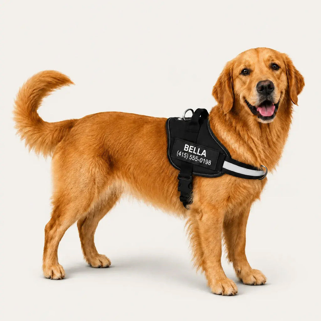 No-Pull Dog Harness product image 13