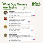 Reviews