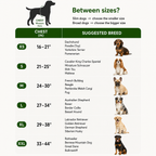 No-Pull Dog Harness product image 17