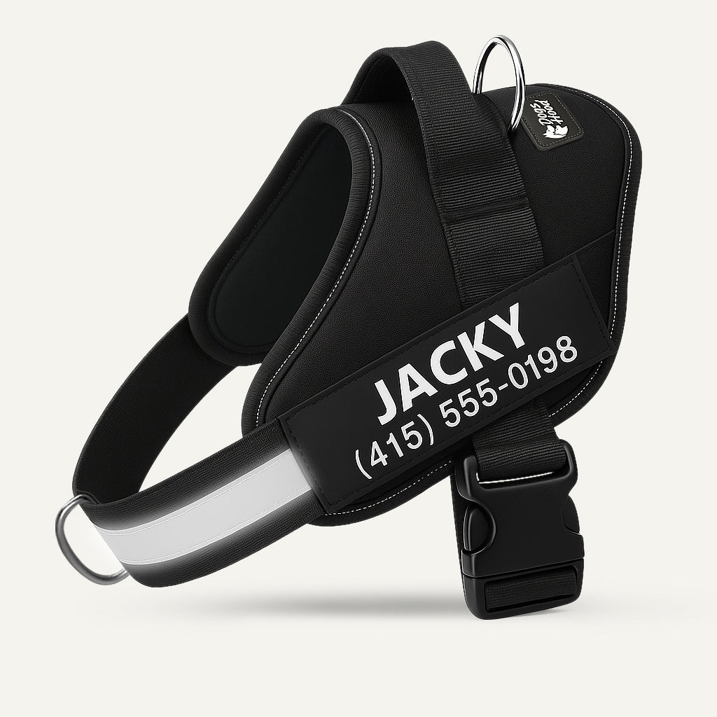 No-Pull Dog Harness, Black / XS
