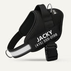 No-Pull Dog Harness, Black / XS
