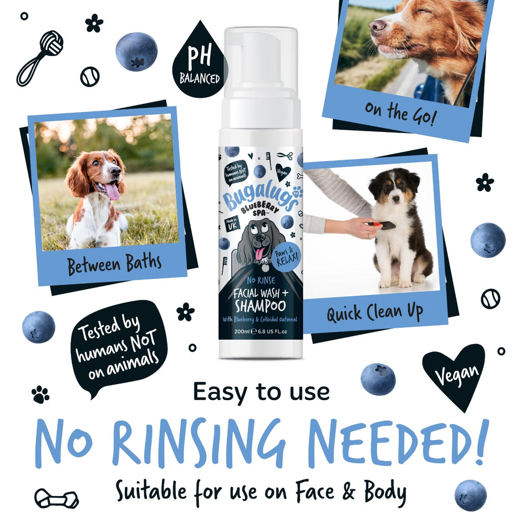 No-Rinse Dog Facial Wash and Shampoo with Blueberry and Colloidal Oatmeal for Waterless Coat Refreshing source image 2