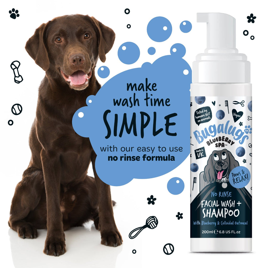 No-Rinse Dog Facial Wash and Shampoo with Blueberry and Colloidal Oatmeal for Waterless Coat Refreshing source image 4