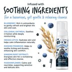 No-Rinse Dog Facial Wash and Shampoo with Blueberry and Colloidal Oatmeal for Waterless Coat Refreshing source image 5