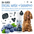No-Rinse Dog Facial Wash and Shampoo with Blueberry and Colloidal Oatmeal for Waterless Coat Refreshing source image 10