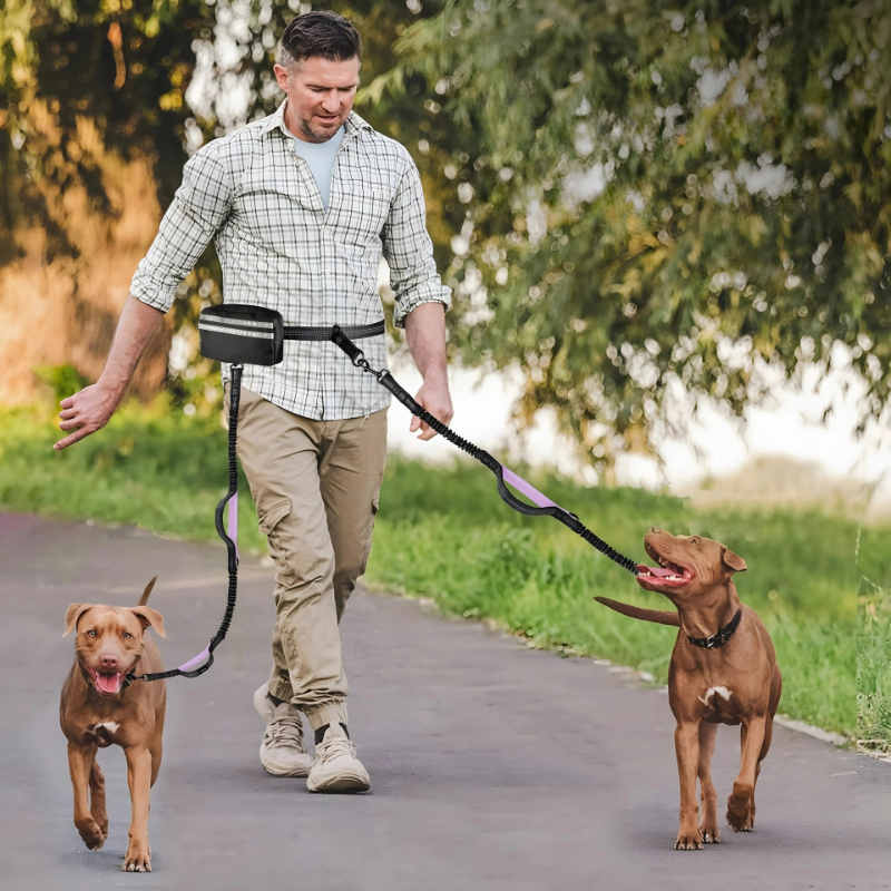 Hands-Free Leash product image 1