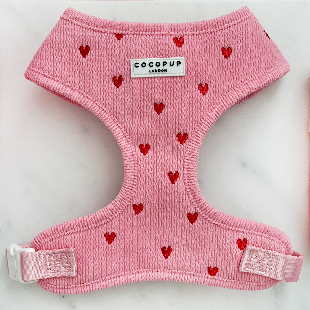 Adjustable Dog Harness product image 1