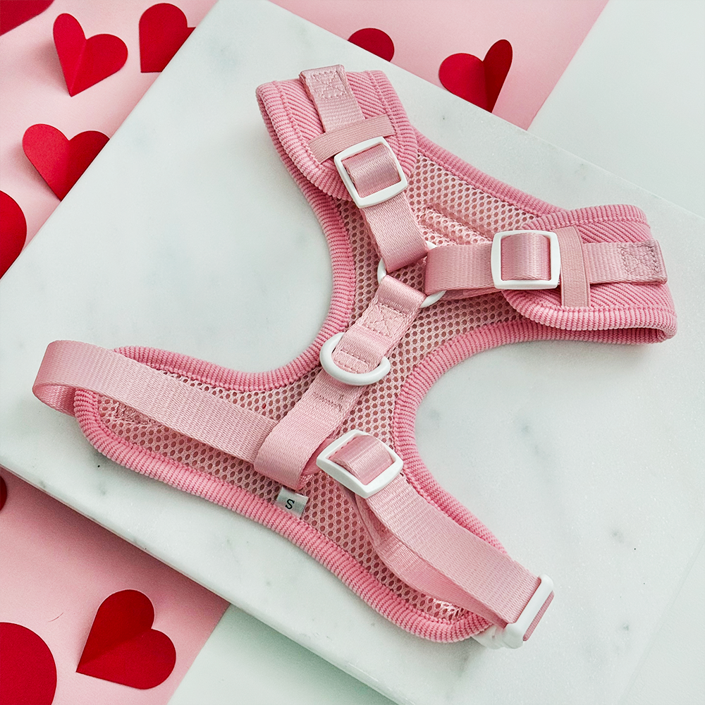 Adjustable Dog Harness product image 3