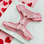 Adjustable Dog Harness product image 3