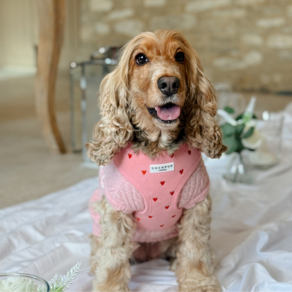 Adjustable Dog Harness product image 4