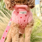 Adjustable Dog Harness product image 5