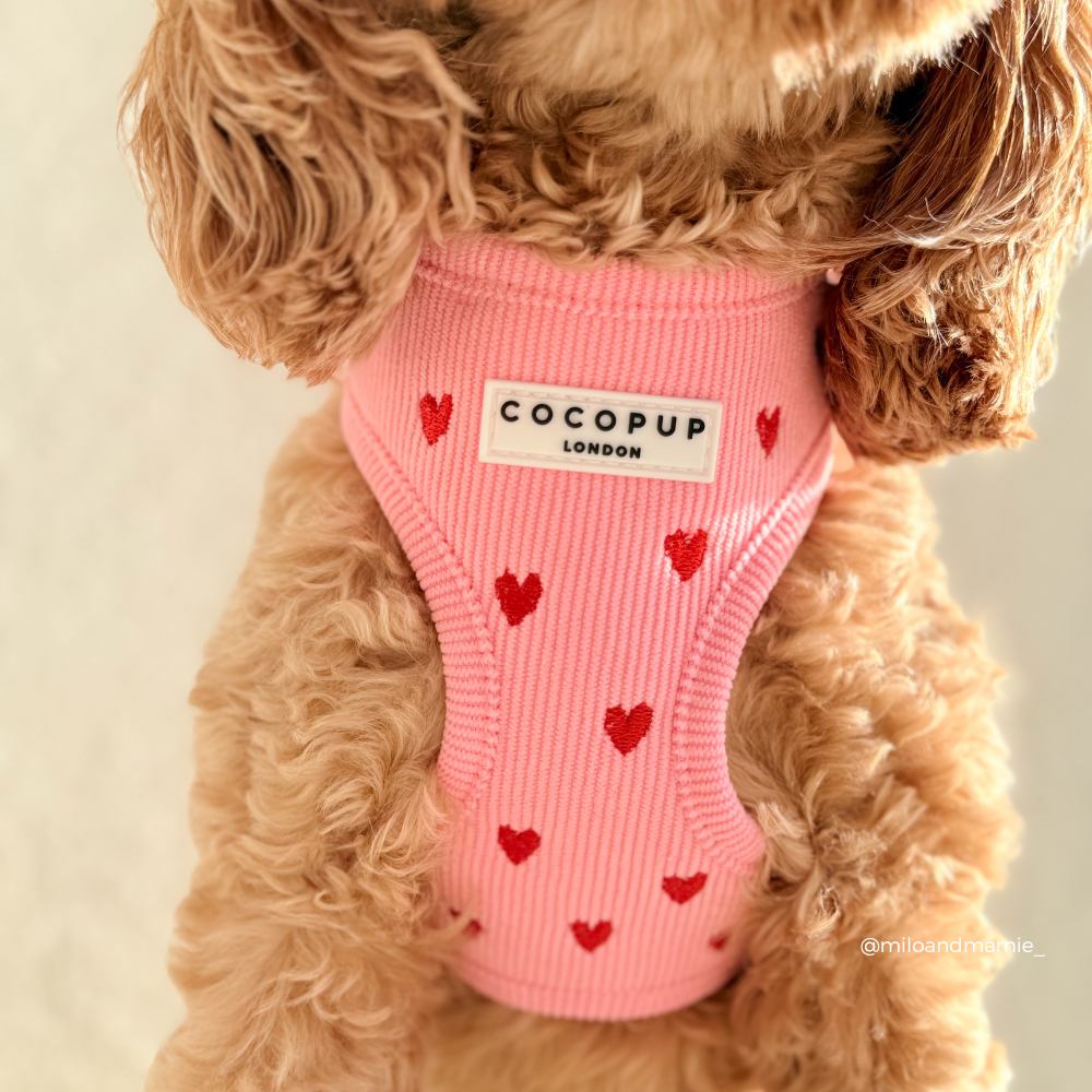 Adjustable Dog Harness product image 6
