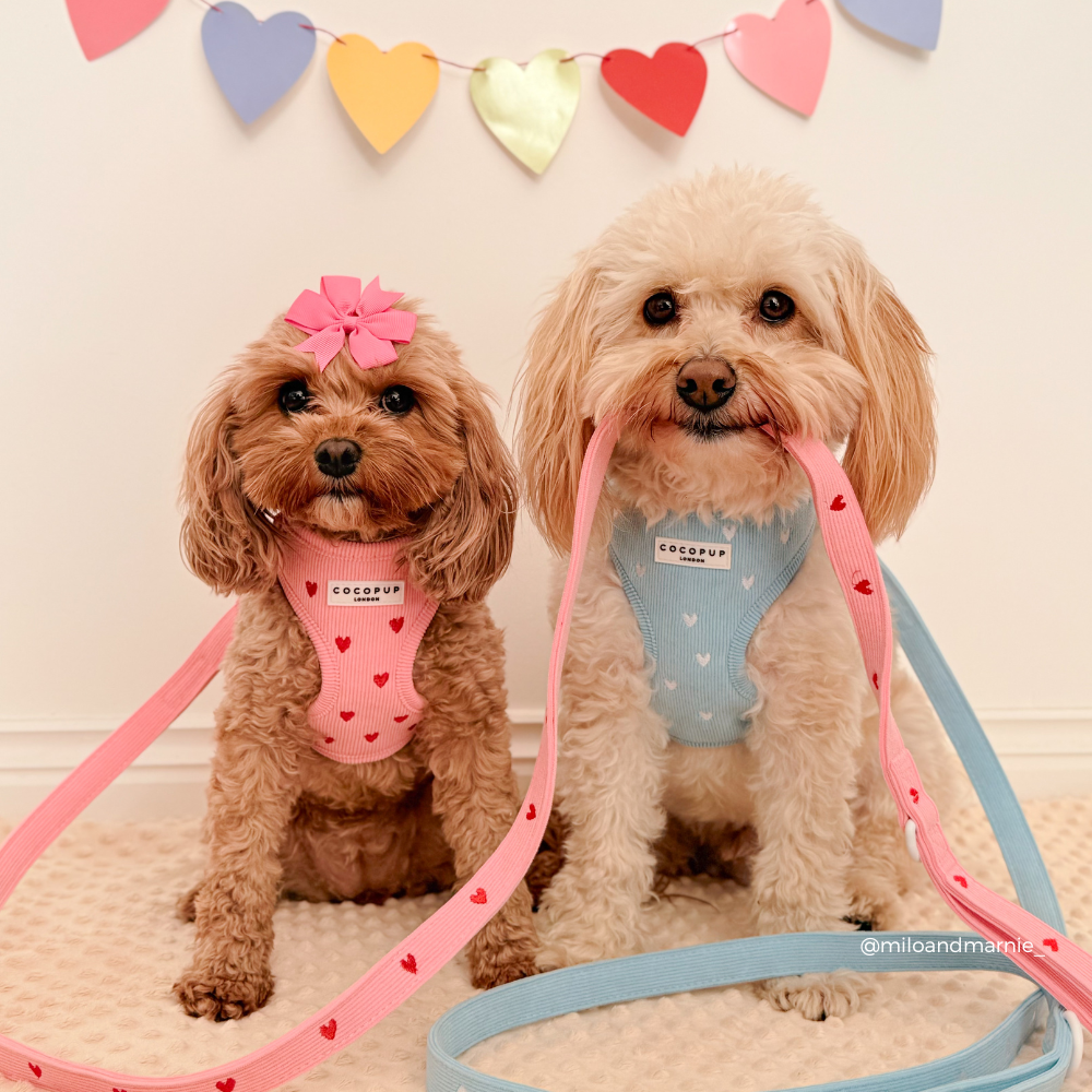 Adjustable Dog Harness product image 7