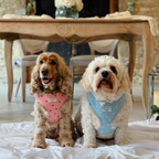 Adjustable Dog Harness product image 8