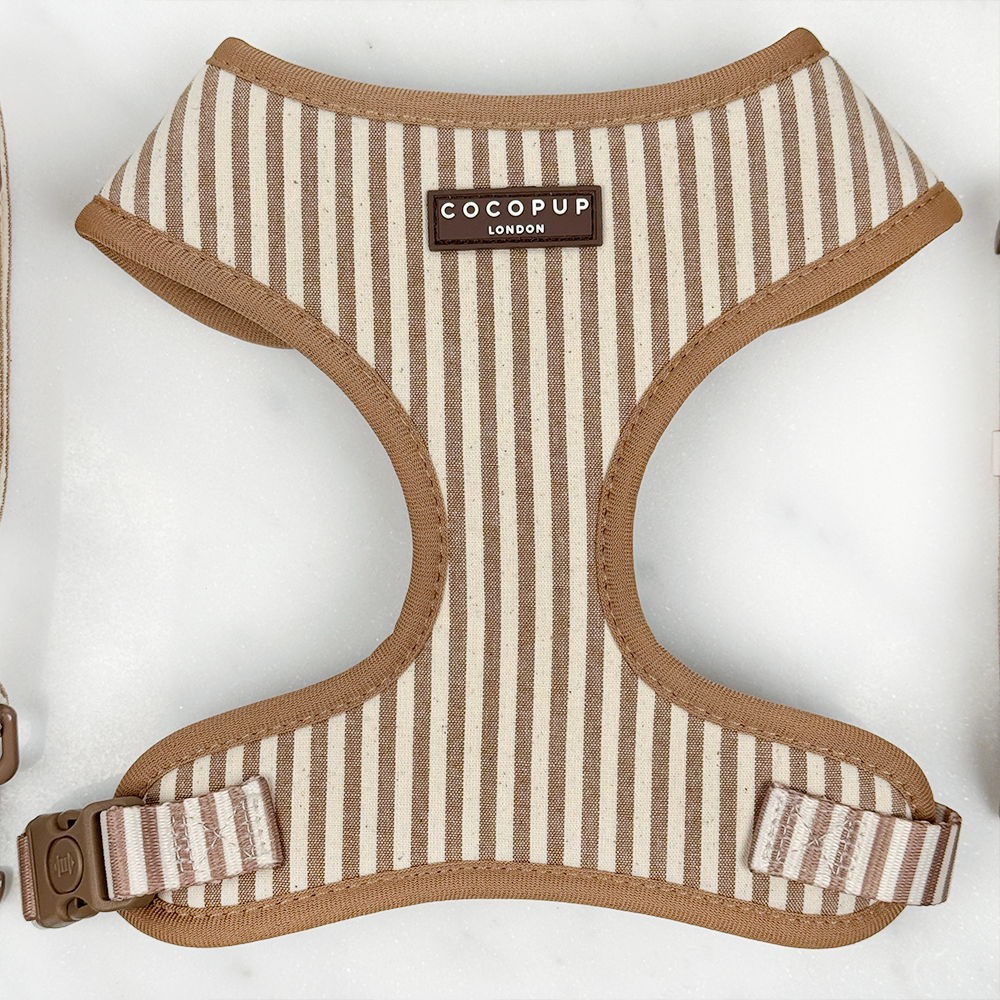 Adjustable Dog Harness product image 1