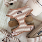 Adjustable Dog Harness product image 5