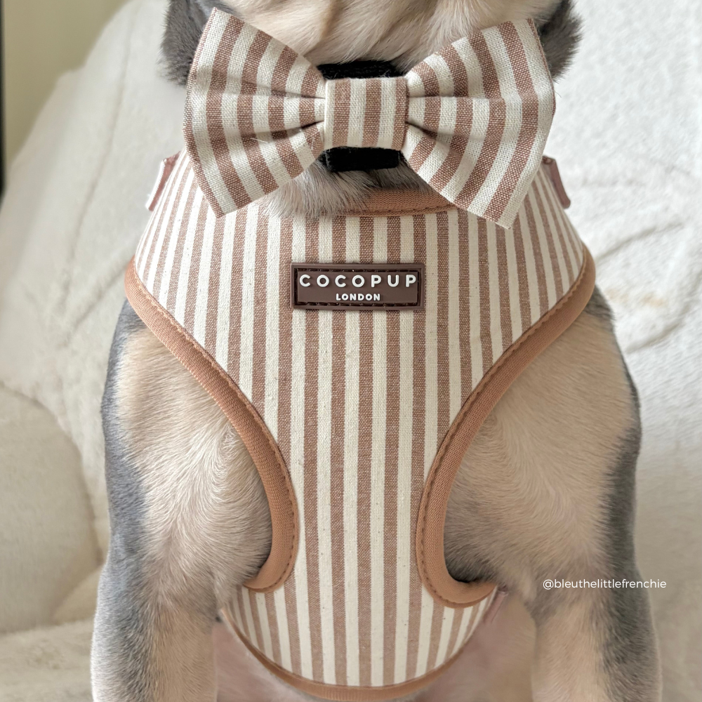 Adjustable Dog Harness product image 7