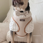 Adjustable Dog Harness product image 10