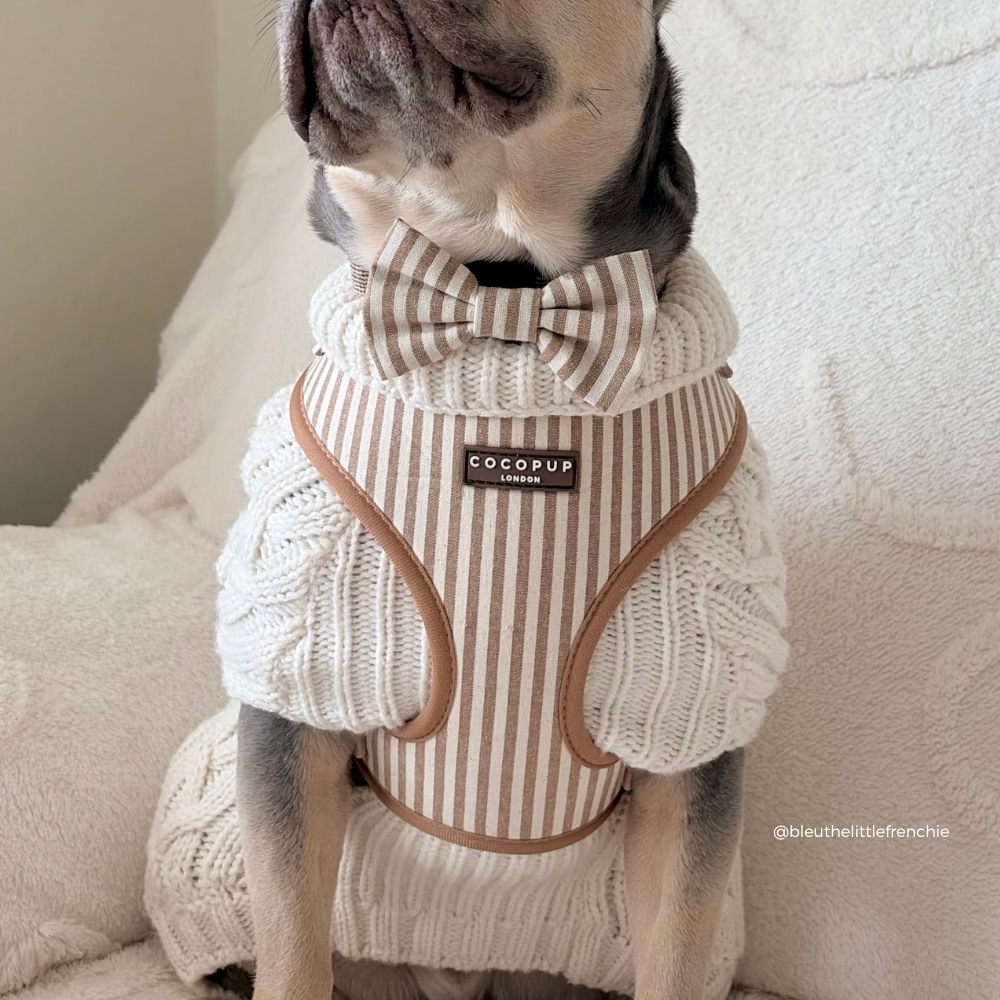 Adjustable Dog Harness product image 10