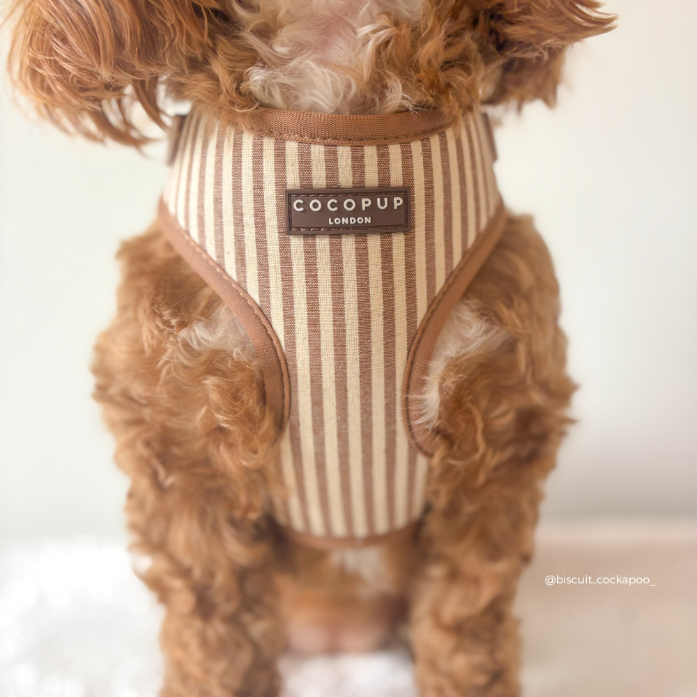Adjustable Dog Harness product image 13