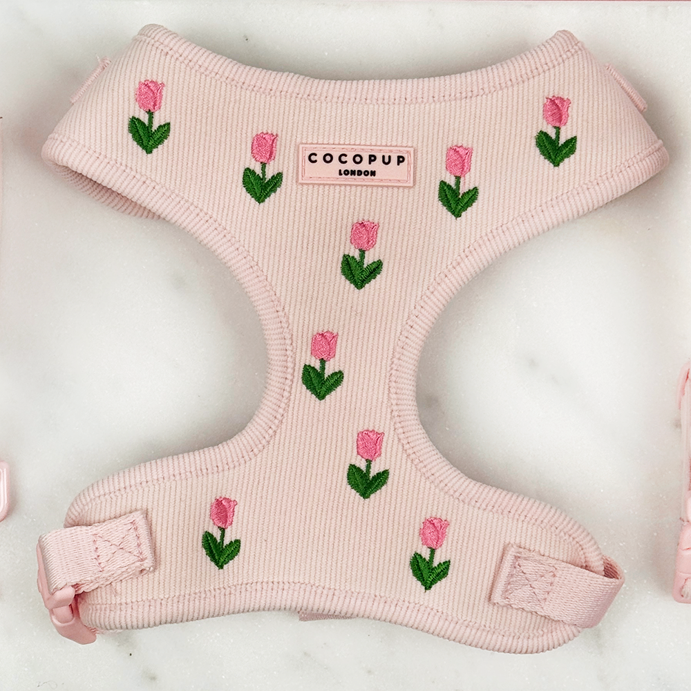 Adjustable Dog Harness product image 1