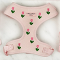 Adjustable Dog Harness product image 1