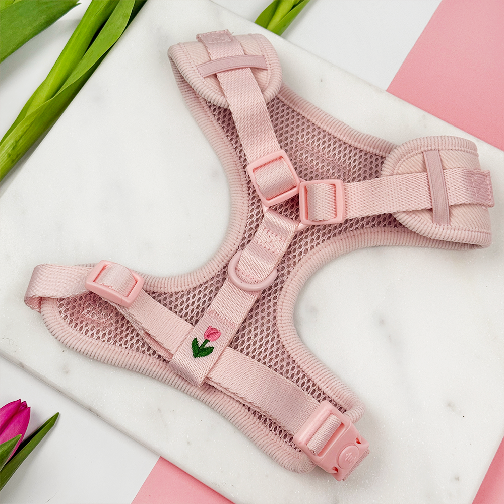 Adjustable Dog Harness product image 3