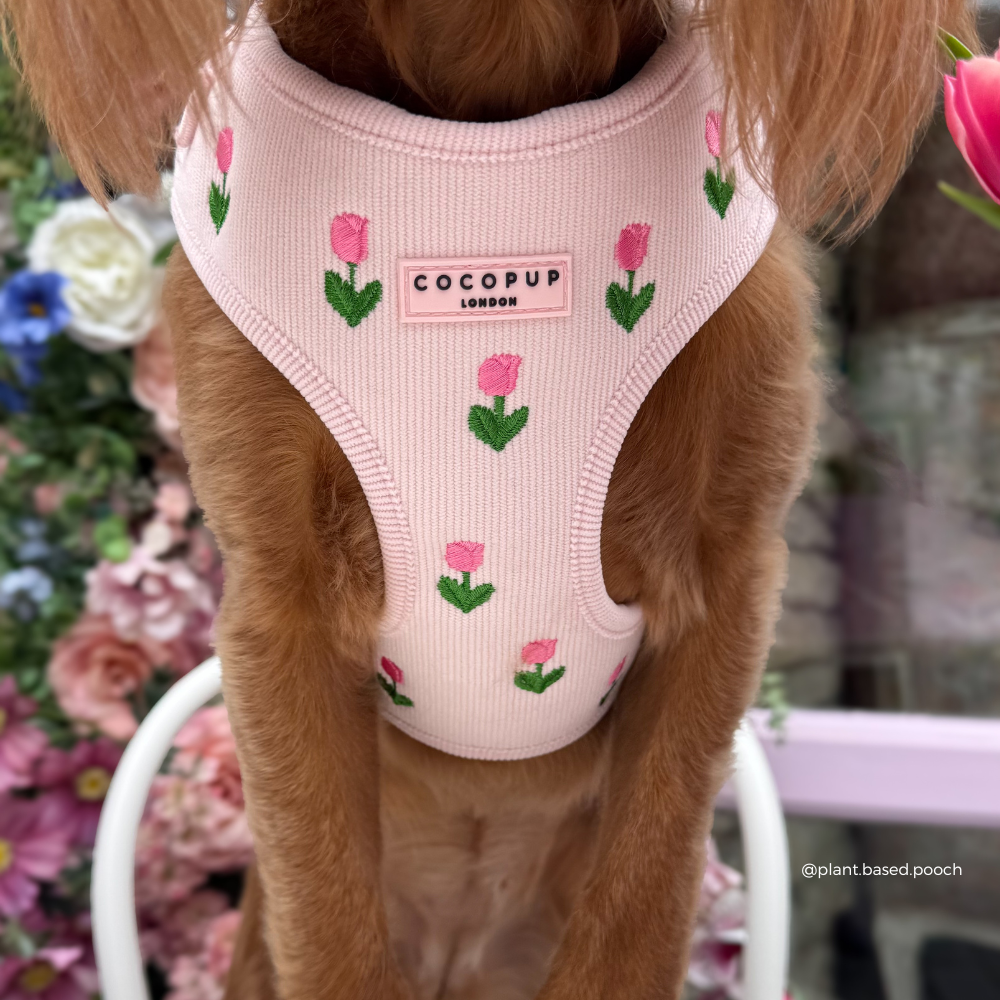 Adjustable Dog Harness product image 4