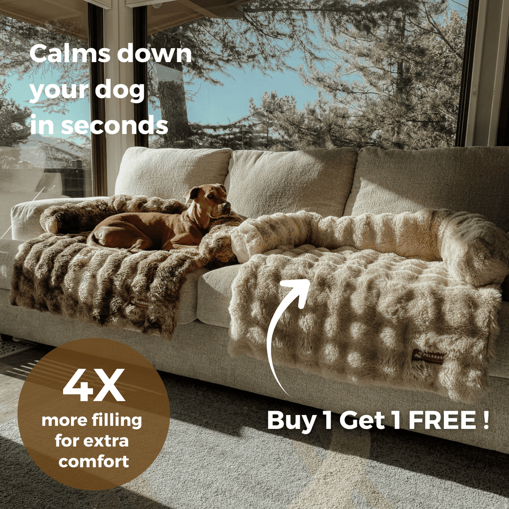 Dog Sofa Bed product image 1