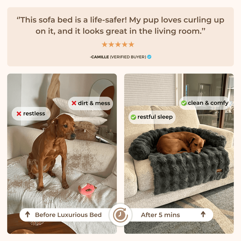 Dog Sofa Bed product image 2