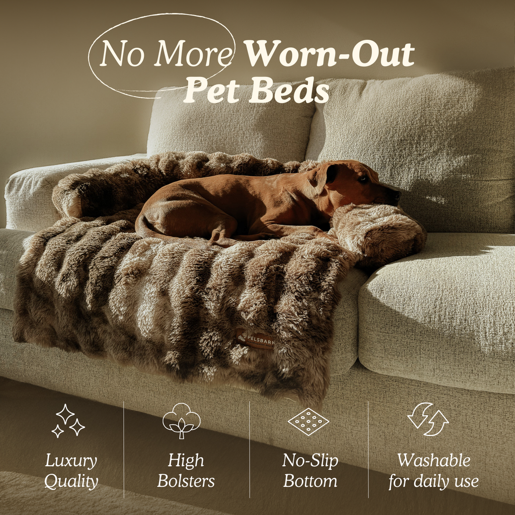Dog Sofa Bed product image 6