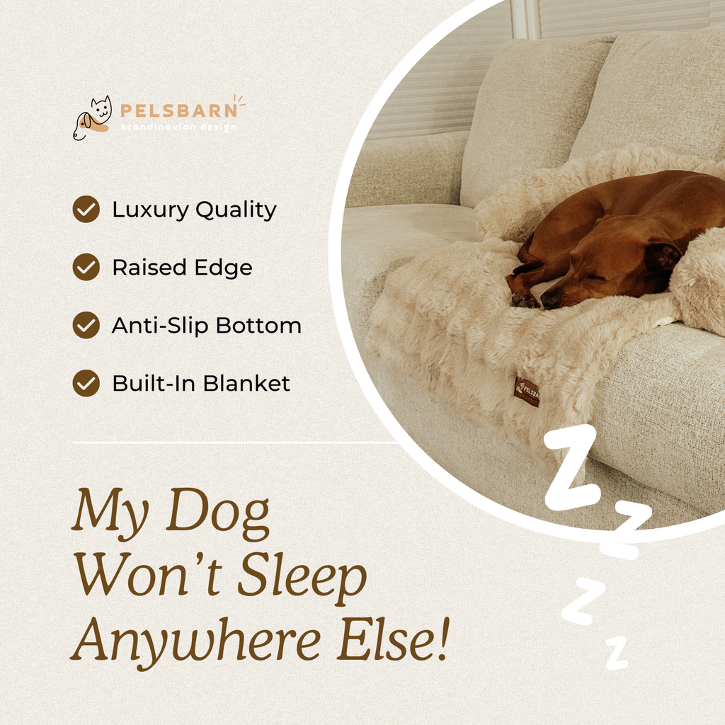 Dog Sofa Bed product image 7