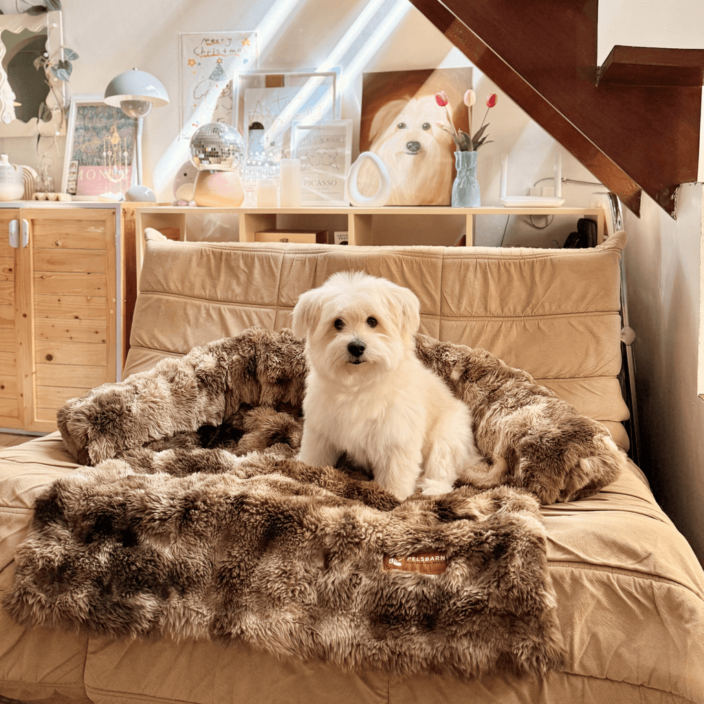 Dog Sofa Bed product image 11